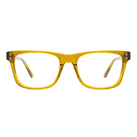 Acetate Classic Glasses