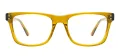 Acetate Classic Glasses