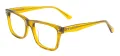 Acetate Classic Glasses