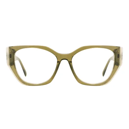 Fashion Cat Eye Spectacles