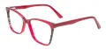 Women Cat Eye Glasses