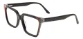 Fashion Cat Eye Spectacles