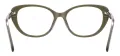 Women Cat Eye Glasses
