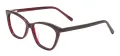 Women Cat Eye Glasses