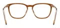 Acetate Square Spectacles