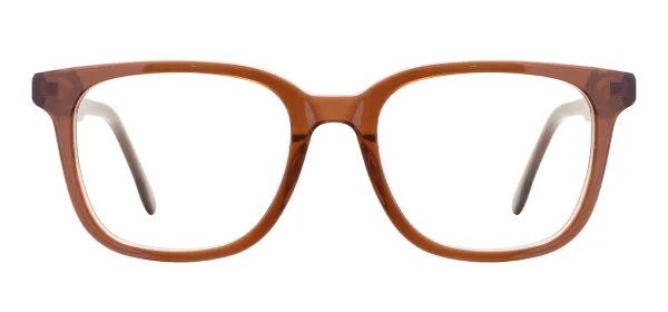 Square Acetate Spectacles (Transparent Brown)