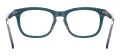 Clear Oval Spectacles