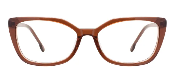 Trendy Cat Eye Acetate Glasses  (Transparent Brown)