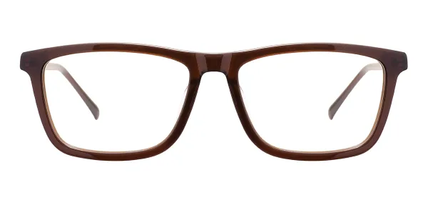 Classic Rectangular Glasses (Brown)