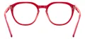 Square Acetate Eyeglasses