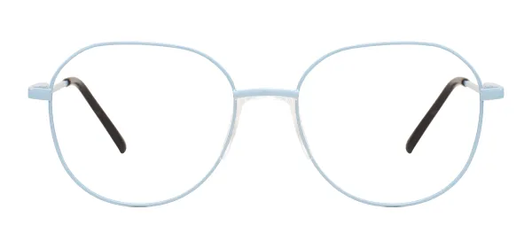 Retro Round Metal Glasses  (Blue)