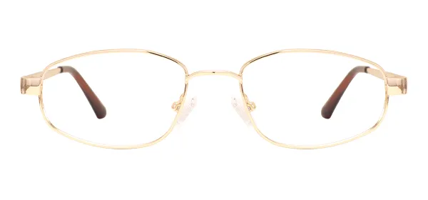 Metal Oval Glasses (Gold)