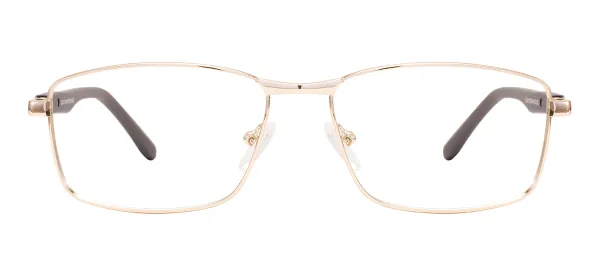 Trendy Rectangle Glasses (Gold)