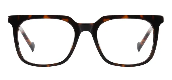 Vintage Square Acetate Eyeglasses (Tortoise)