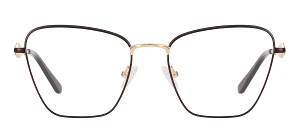 Women Fashion Square Eyewear (Brown)
