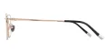 Men Rectangle Eyeglasses