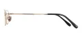 Business Titanium Eyeglasses