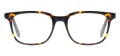 Rectangular Acetate Eyewear