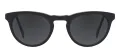 Acetate Polarized Shades