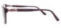 Cat Eye Female Spectacles