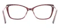 Cat Eye Colorful Eyeglasses