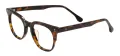 Acetate Round Glasses