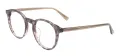 Oval Acetate Medium Size Glasses Frame