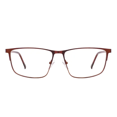Metal Large Glasses Frame With Spring Hinge