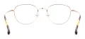 Colorful Medium Oval Eyeglasses